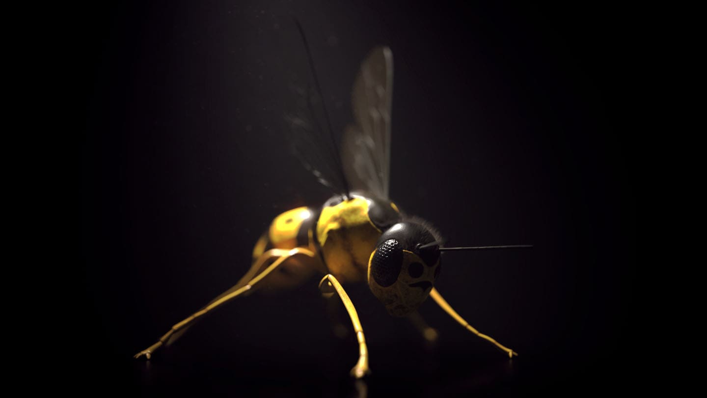 Hornet